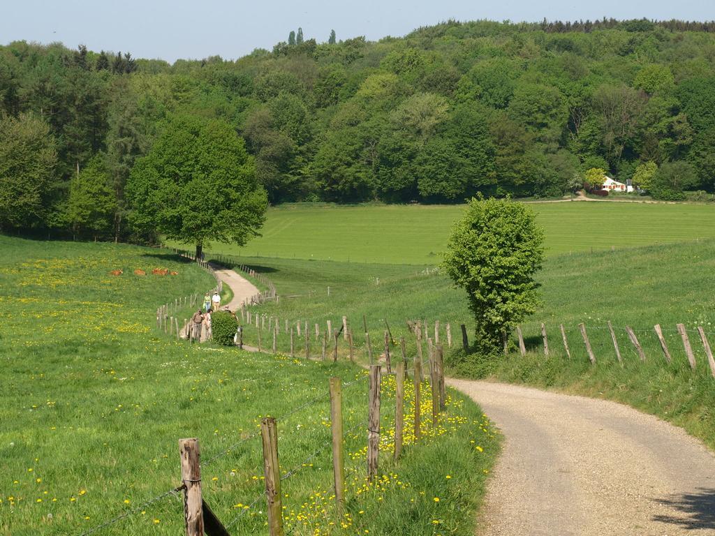 Buitenplaats De Mechelerhof 메헬렌 외부 사진